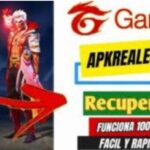 Reales24apk